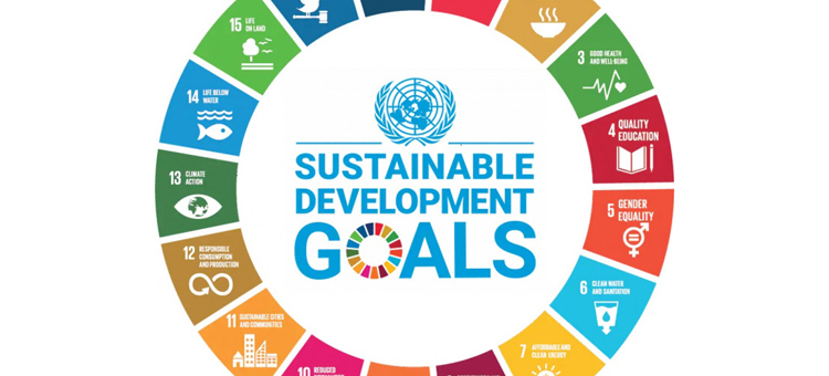 Istat: il 7° Rapporto Istat sui Sustainable Development Goals